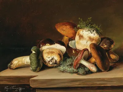 Penny buns and green russula by Винценц Кройцер — digital art print download