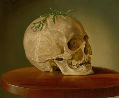 Still Life with a Skull and a Forget-Me-Not by Vojtech Klimkovič, 1860 — digital art print download