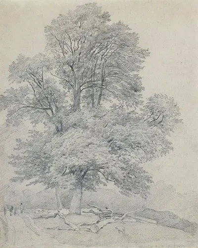 A Wych Elm at Hawley, Hampshire by Уильям Малриди, 1813 — digital art print download