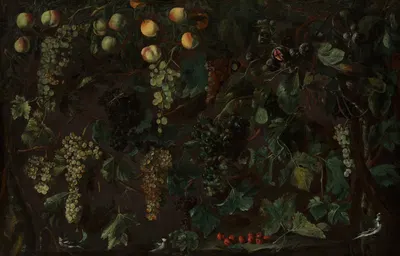 Grape Vines and Fruit, with Three Wagtails by Bartolomeo Cavarozzi — digital art print download