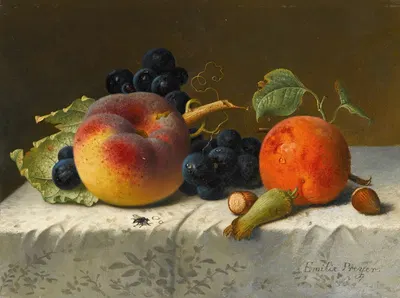 Still life with peach, apricot, grapes and hazelnuts on a tablecloth by Emilie Preyer, 1907 — digital art print download
