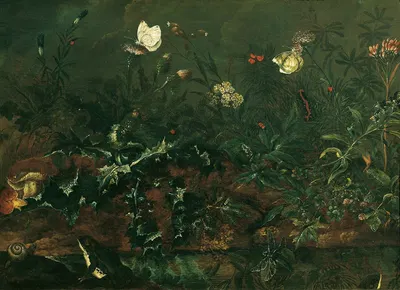 Rasenstück mit Distel, Fröschen und Libelle by Franz Michael Siegmund von Purgau the elder, 1738 — digital art print download