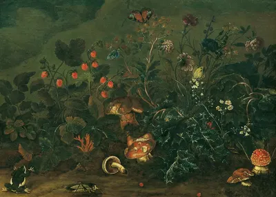 Rasenstück mit Erdbeeren und Grille by Franz Michael Siegmund von Purgau the elder, 1737 — digital art print download