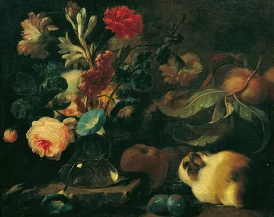 Stillleben mit Meerschweinchen, Blumen und Früchten by Franz Werner von Tamm, 1720-1724 — digital art print download