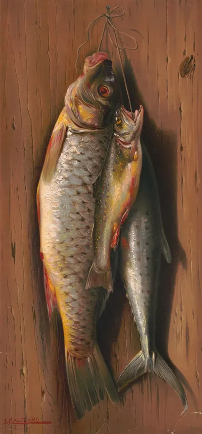 Pride of the water by J. Califiano, 1897 — digital art print download