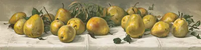 Study of pears by J. E. Barclay, 1891 — digital art print download