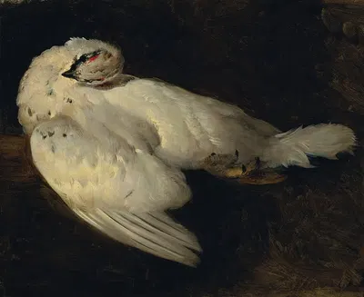 Totes Schneehuhn by Johann Matthias Ranftl — digital art print download