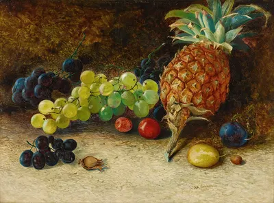 Still life with a pineapple, grapes, nuts and plums by Джон Аткінсон Гримшоу, 1862 — digital art print download