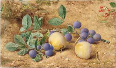 Plums by John William Hill, 1870 — digital art print download