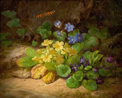 Kleines Blumenstück (Alpenblumen) by Josef Lauer, 1860 — digital art print download