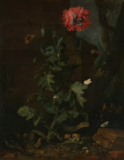 Still Life with Poppy, Insects, and Reptiles by Отто Марсейус ван Шрик — digital art print download