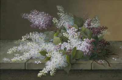 Branch of lilacs by Raoul M. De Longpré — digital art print download