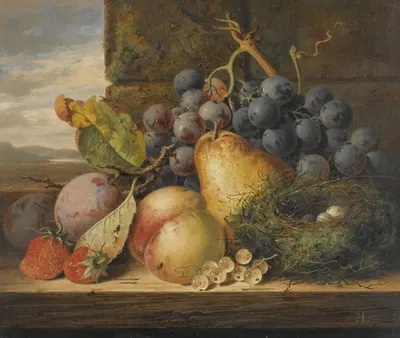 Still Life With A Bird's Nest, A Pear, A Peach, Grapes, Strawberries And Plums by Edward Ladell — digital art print download