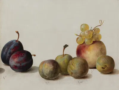 Plums, Peach And Grapes by Helen Searle, 1868 — digital art print download
