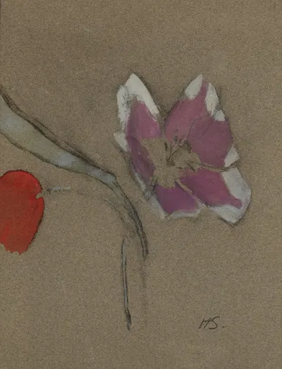 Anemone by Helene Schjerfbeck, 1942 — digital art print download