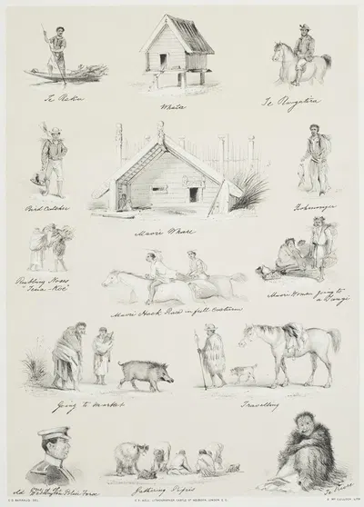 New Zealand Graphic and Descriptive. Plate VI. Scraps from my sketchbook. by Шарль Десимус Барро, 1877 — digital art print…