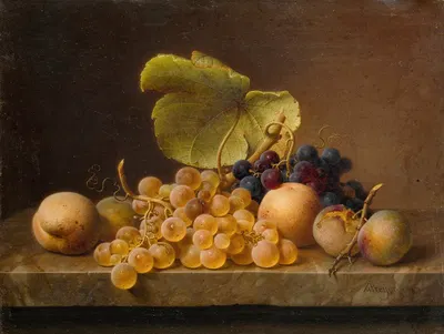 Still Life With Grapes by Johann Wilhelm Preyer, 1849 — digital art print download