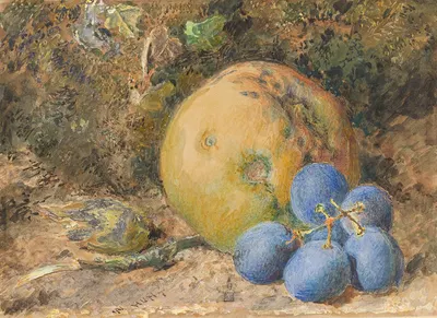 An Apple, Grapes and a Hazelnut on a Mossy Bank by William Henry Hunt — digital art print download
