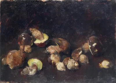 Natura morta con funghi by Луиджи Серралунга — digital art print download