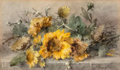 Spray of sunflowers on a stone ledge by Margaretha Roosenboom — digital art print download