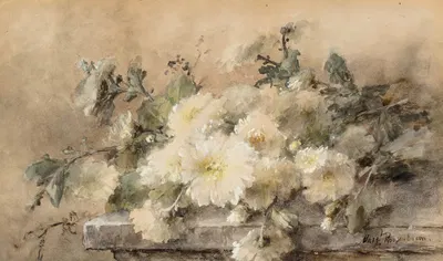 Spray of white chrysanthemums on a stone ledge by Margaretha Roosenboom — digital art print download