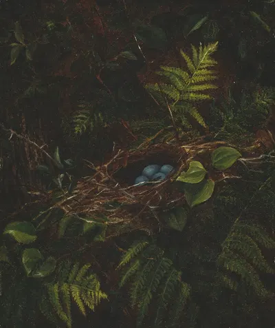 Bird’s Nest and Ferns by Fidelia Bridges, 1863 — digital art print download