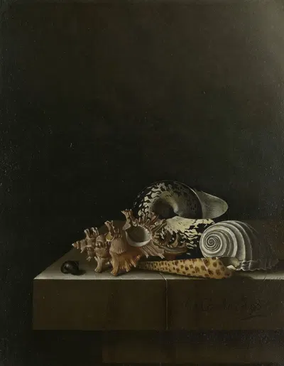 Shells on a Stone Plinth by Adriaen Coorte, 1698 — digital art print download