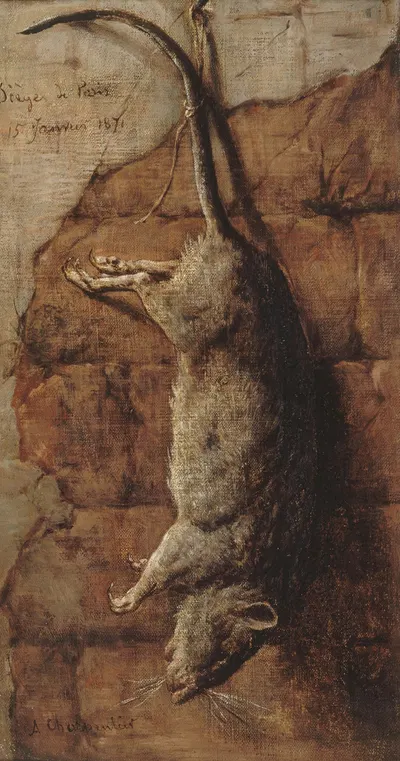 Rat ayant servi à l'alimentation pendant le siège de Paris. by Огюст Шарпантье, 1871 — digital art print download