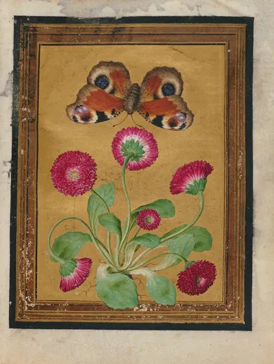 Paintings of Flowers, Butterflies, and Insects Pl.1 by Jacques Le Moyne de Morgues, 1550-1570 — digital art print download