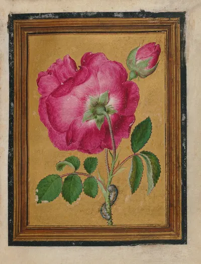Paintings of Flowers, Butterflies, and Insects Pl.3 by Jacques Le Moyne de Morgues, 1550-1570 — digital art print download