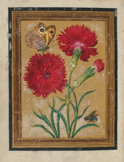 Paintings of Flowers, Butterflies, and Insects Pl.4 by Jacques Le Moyne de Morgues, 1550-1570 — digital art print download