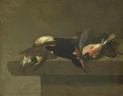 Dead Birds by Jan Vonck, 1640 - 1662 — digital art print download