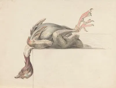 Geplukte vogel, met de kop naar beneden hangend by Жан Бернар, 1775 - 1833 — digital art print download
