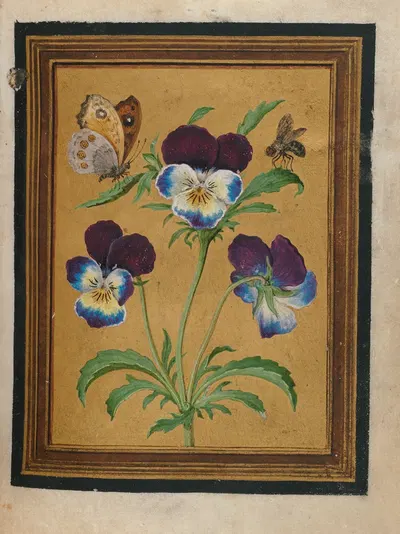 Paintings of Flowers, Butterflies, and Insects Pl.7 by Jacques Le Moyne de Morgues, 1550-1570 — digital art print download