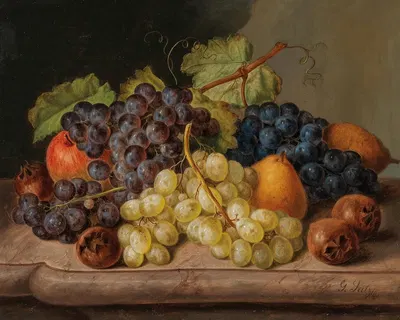 Still Life with Grapes and Pears by Johann Georg Seitz — digital art print download