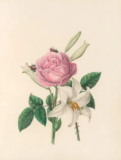 The fête of the flowers Pl.01 by Jane Elizabeth Giraud, 1860 — digital art print download