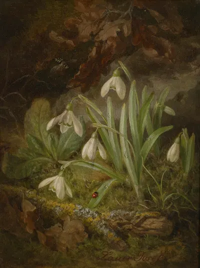 Waldbodenstück mit Schneeglöckchen by Josef Lauer — digital art print download