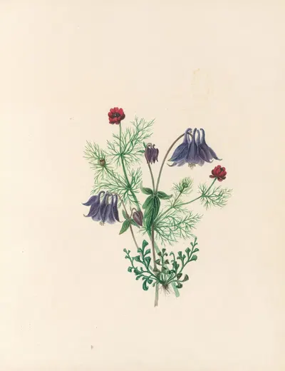 The fête of the flowers Pl.05 by Jane Elizabeth Giraud, 1860 — digital art print download