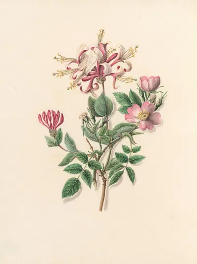 The fête of the flowers Pl.09 by Jane Elizabeth Giraud, 1860 — digital art print download