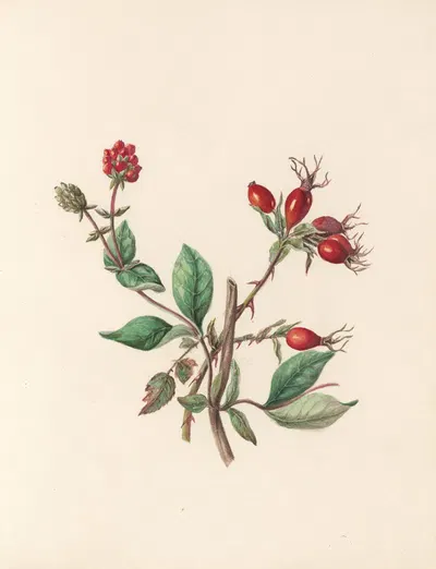 The fête of the flowers Pl.10 by Jane Elizabeth Giraud, 1860 — digital art print download