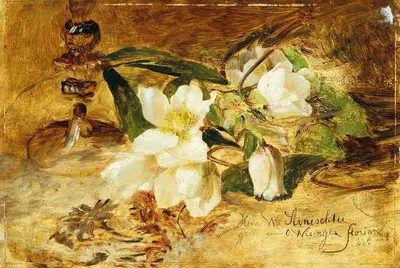 Black hellebore by Olga Wisinger-Florian — digital art print download