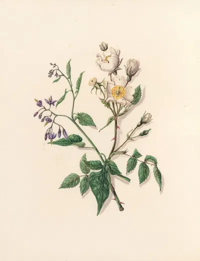 The fête of the flowers Pl.11 by Jane Elizabeth Giraud, 1860 — digital art print download