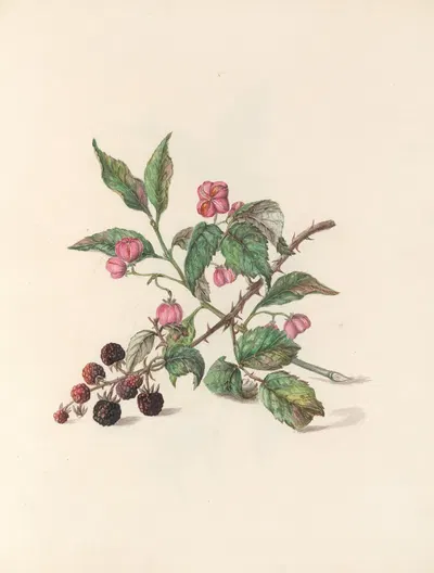 The fête of the flowers Pl.14 by Jane Elizabeth Giraud, 1860 — digital art print download