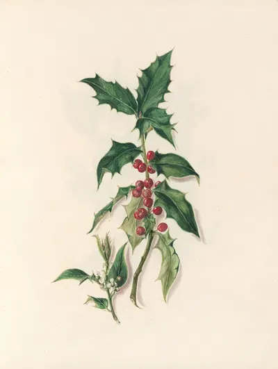 The fête of the flowers Pl.15 by Jane Elizabeth Giraud, 1860 — digital art print download