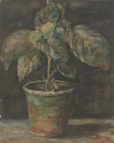 Een potplant by Sientje Mesdag Van Houten, 1844 - 1909 — digital art print download