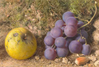 Apple, Grapes and a Cob-Nut by Уильям Генри Хант — digital art print download