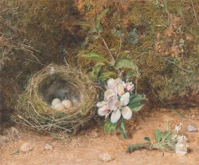 Bird's Nest with Sprays of Apple Blossoms by Уильям Генри Хант — digital art print download