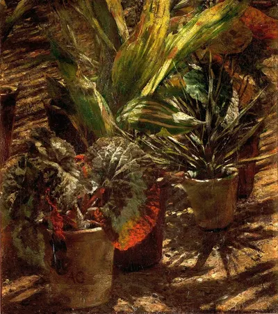 Begonias by Александр Гиерминьский — digital art print download
