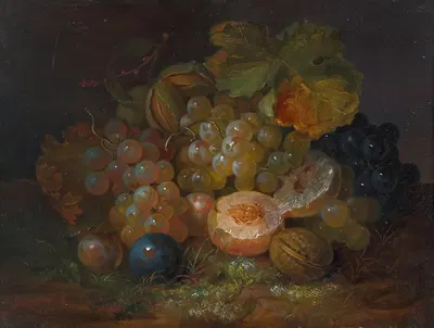 Still Life with Grapes, Plums and Almonds by George Forster, 1845 — digital art print download