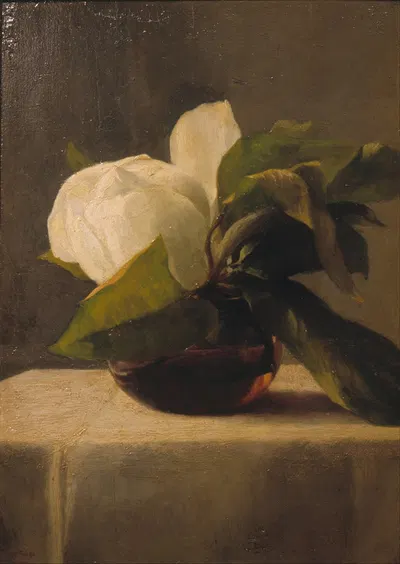 Magnolia by Джон Ла Фардж, 1860 — digital art print download